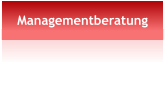 Managementberatung